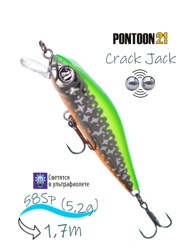 Crack Jack 58 SP-MR-R66 - фото