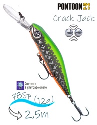Crack Jack 78 SP-DR-R66 - фото