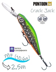 Crack Jack 78 F-DR-R66 - фото