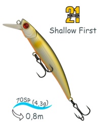 Shallow First 70SP-SR J05 - фото