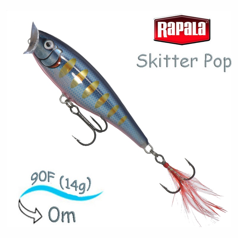 SP09 STHB Skitter Pop