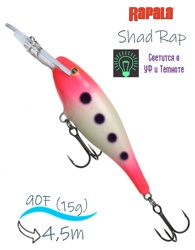 SR09 GPSQ Shad Rap - фото
