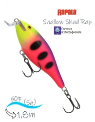 SSR05 FPN Shallow Shad Rap - фото