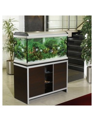 W-M Worm Case - фото