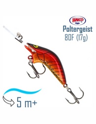 Poltergeist 80 H61 - фото