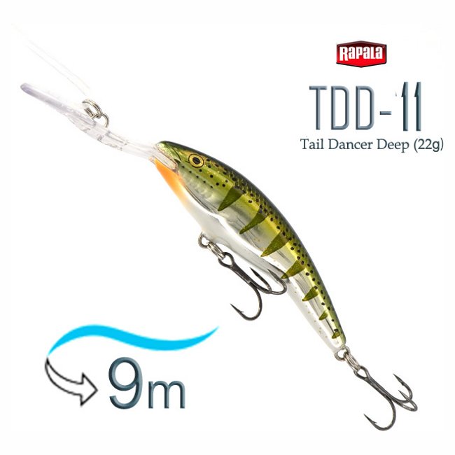 TDD11 FYP Tail Dancer Deep