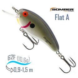 B02 FATS Flat A - фото