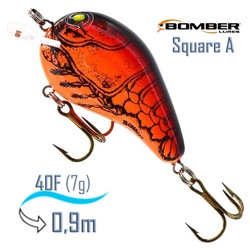 B04 SLXC5 Square - фото