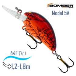 B05 AXC5 Model A - фото