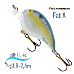 B05 FFS Fat A . - фото