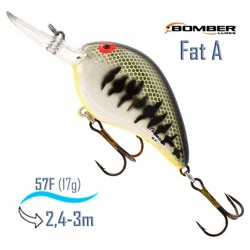 B06 FBBO Fat A - фото