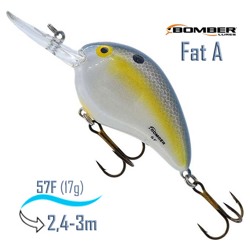 B06 FFS Fat A - фото