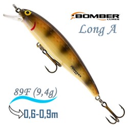 B14 A431 Long A - фото
