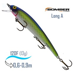 B15 A427 Long A - фото