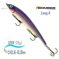 B15 A429 Long A - фото