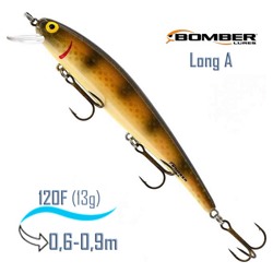 B15 A431 Long A - фото