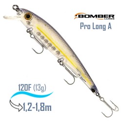 B15 APTPP Long A - фото