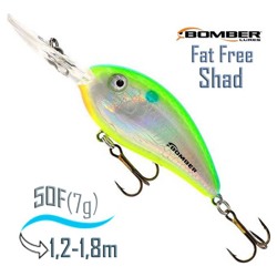 BD4 FDCS Fat Free Fry - фото