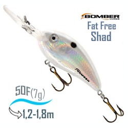BD4 FDPW Fat Free Fry - фото