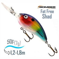 BD4 FDTFS Fat Free Fry - фото