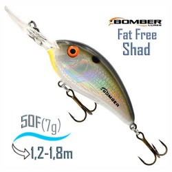 BD4 FDTS Fat Free Fry - фото