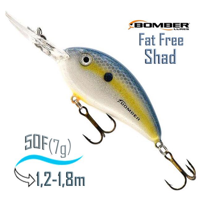 BD4 FFS Fat Free Fry