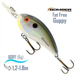 BD5 MDTS Fat Free Guppy - фото