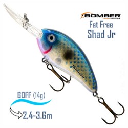 BD6 FBBH Fat Free Shad Jr. - фото