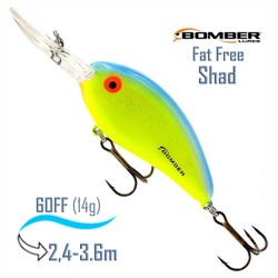 BD6 FCBSP Fat Free Shad - фото