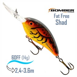 BD6 FDCF Fat Free Shad - фото