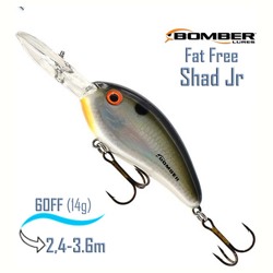 BD6 FDTS Fat Free Shad Jr - фото