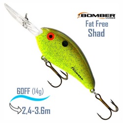 BD6 FRBCH Fat Free Shad - фото