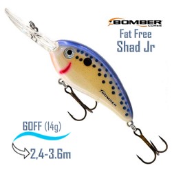 BD6 FSPP Fat Free Shad Jr - фото