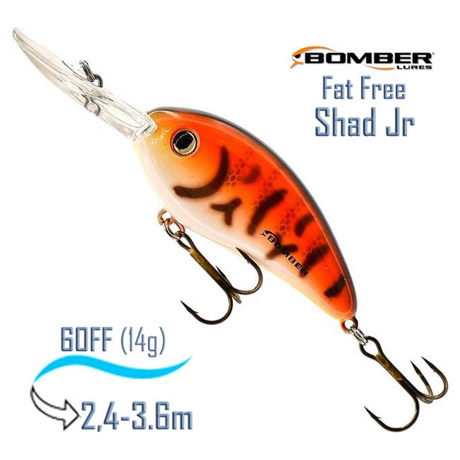 BD6 FTGP Fat Free Shad Jr .
