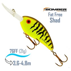 BD7 FCHBT Fat Free Shad - фото
