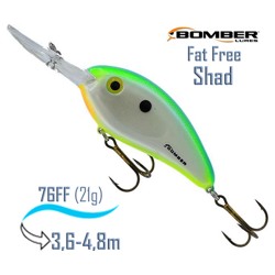 BD7 FCIT Fat Free Shad . - фото