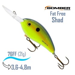 BD7 FFL Fat Free Shad - фото