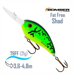 BD7 FFT Fat Free Shad - фото