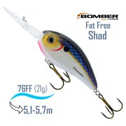 BD8 FAS Deep Fat Free Shad - фото