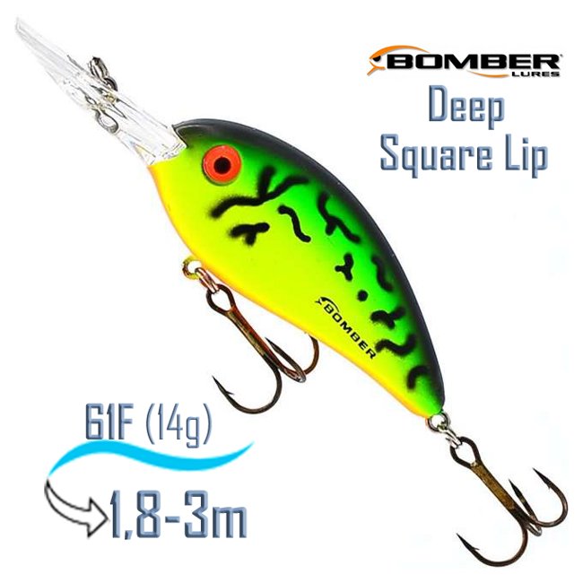 BDSL6 FFT FAT FREE SHAD Deep Square Lip