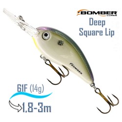 BDSL6 FPSH FAT FREE SHAD Deep Square Lip - фото