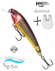 Hamma 123 R36 - фото