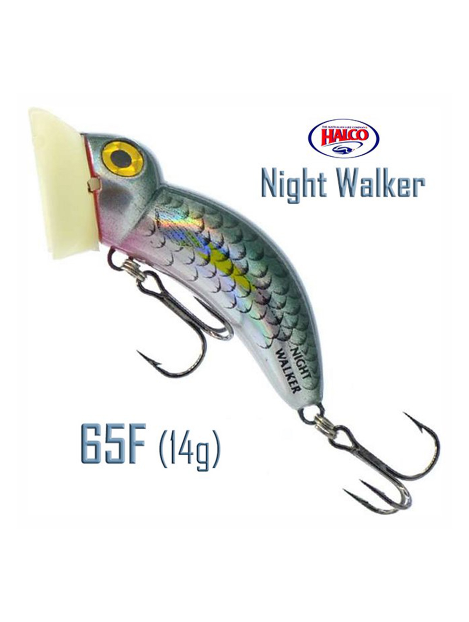 Night Walker R25