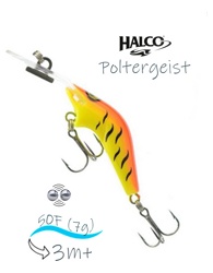 Poltergeist 50 R08 - фото