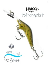 Poltergeist 50 R32 - фото