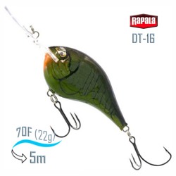 DT16 MGRA Dives-To - фото