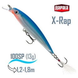 XR10 SB X-Rap - фото