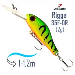 Rigge 35 F-DR 070R - фото