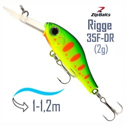 Rigge 35 F-DR 313R - фото