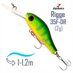 Rigge 35 F-DR ZR-10 - фото